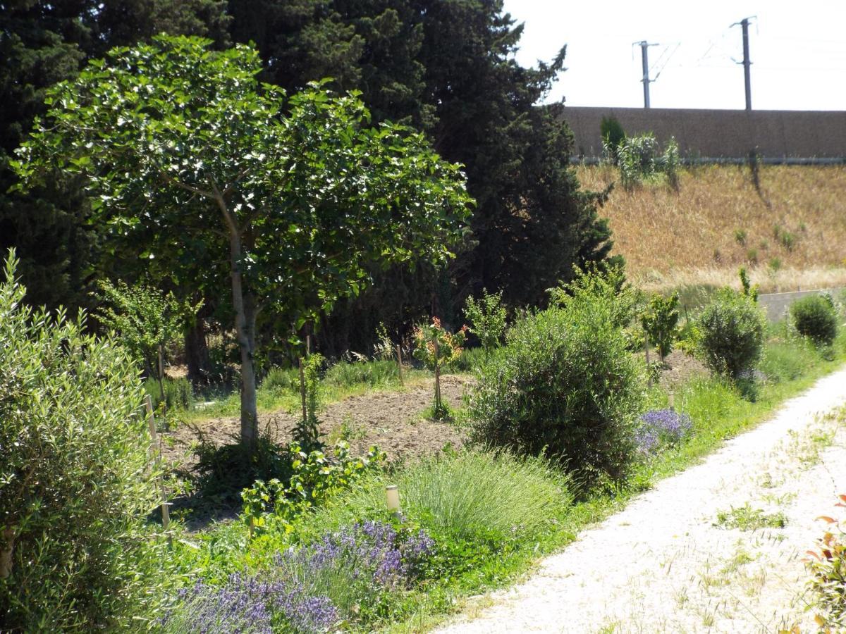 La Maison Du Moulin De Tartay Avignon Bagian luar foto